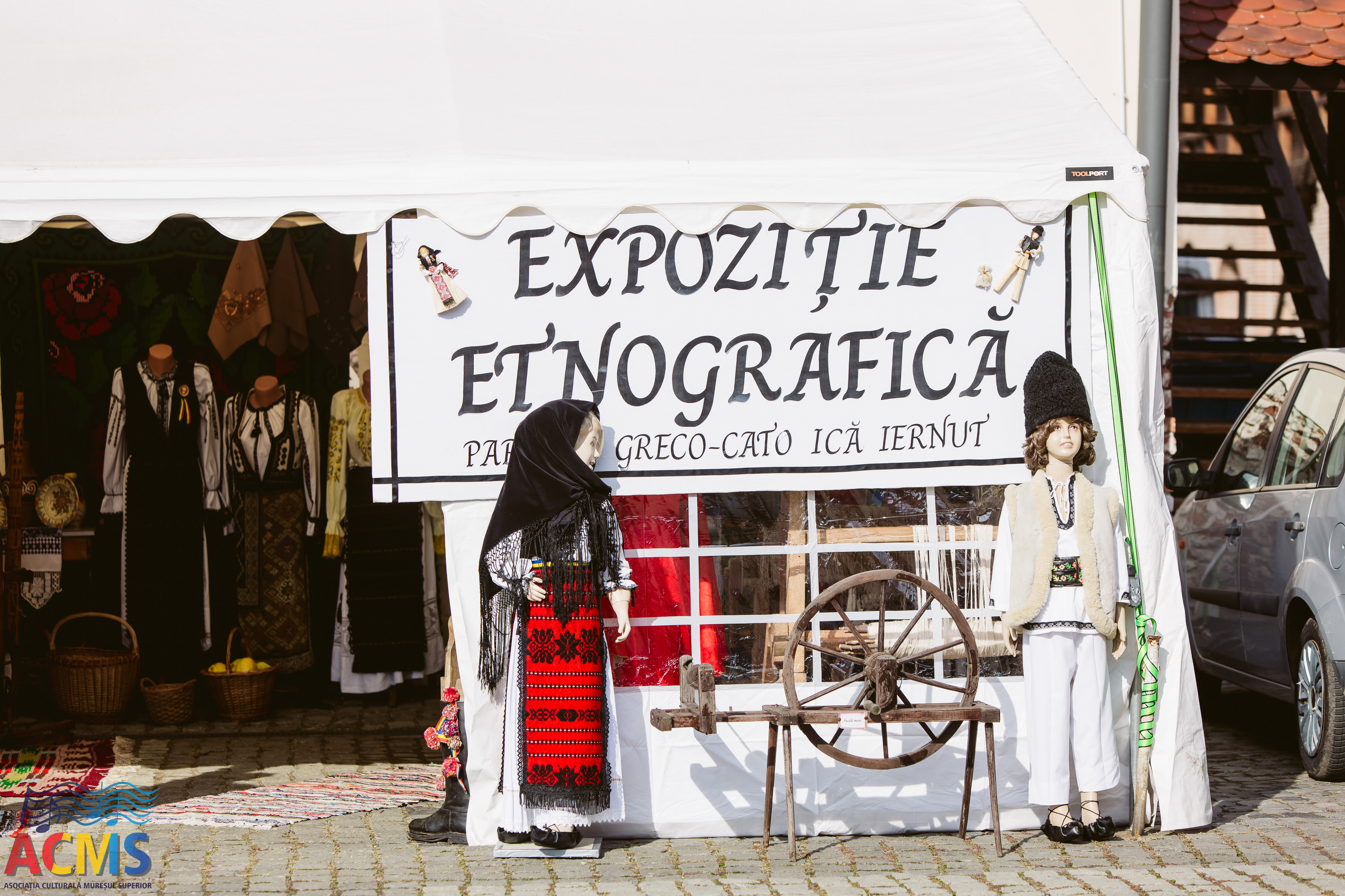 Poza 16
